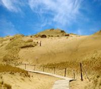 Curonian Spit